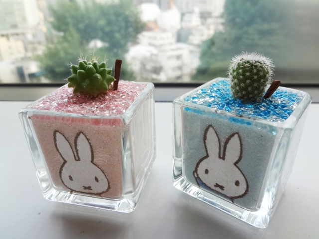 miffy style サボテン