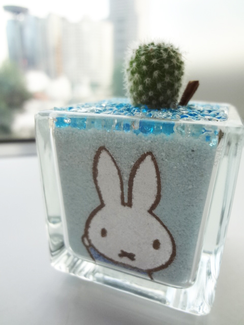 miffy style サボテン