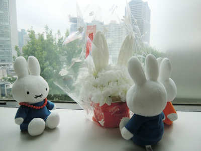 Flower Miffy　母の日