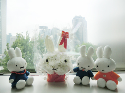 Flower Miffy　母の日