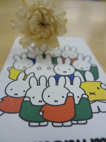 20120823_many many miffy