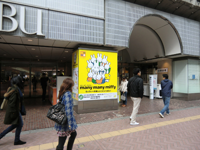 many many miffy 渋谷