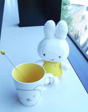 Flower Miffy Mag