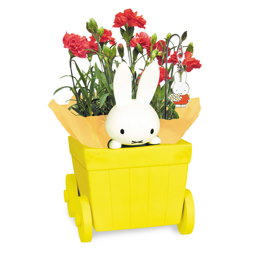 Flower Miffy　母の日