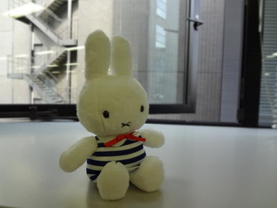 Marine border miffy