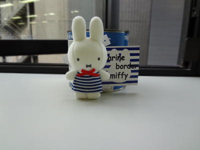 Marine border miffy