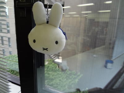 Marine border miffy