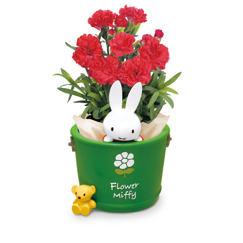 Flower Miffy 母の日