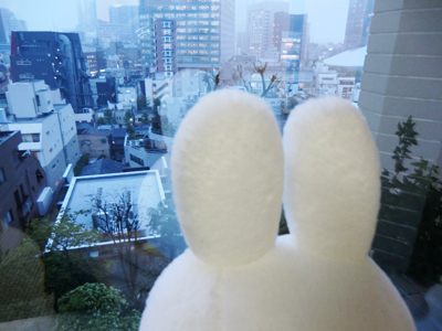 miffy style　サボテン