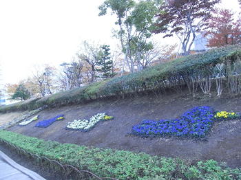 東品川海上公園水鳥