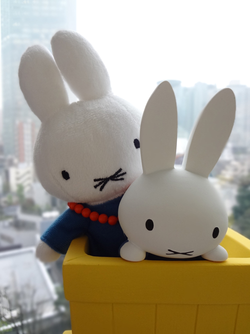 Flower Miffy　母の日