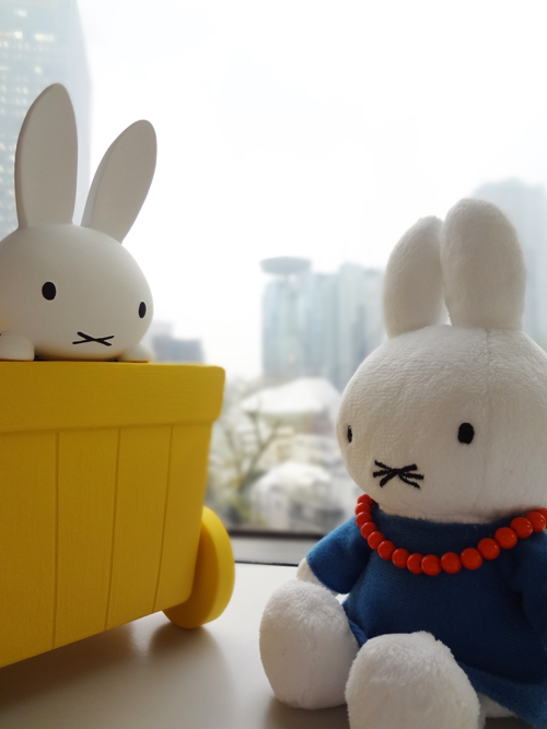 Flower Miffy　母の日