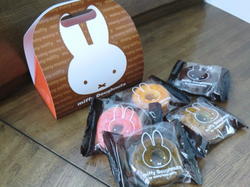 20120822_many many miffy