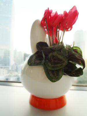 Flower Miffy プランター