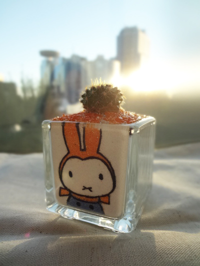 miffy style サボテン