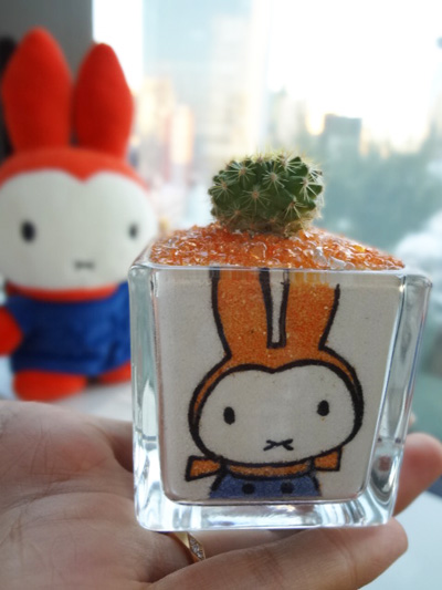 miffy style サボテン