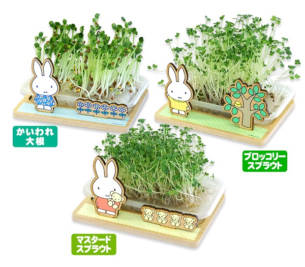 スプラウト栽培キット ナガノファクトリー グッズ情報 Dickbruna Jp 日本のミッフィー情報サイト
