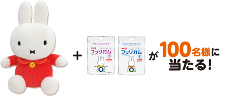 明治　キャンペーン