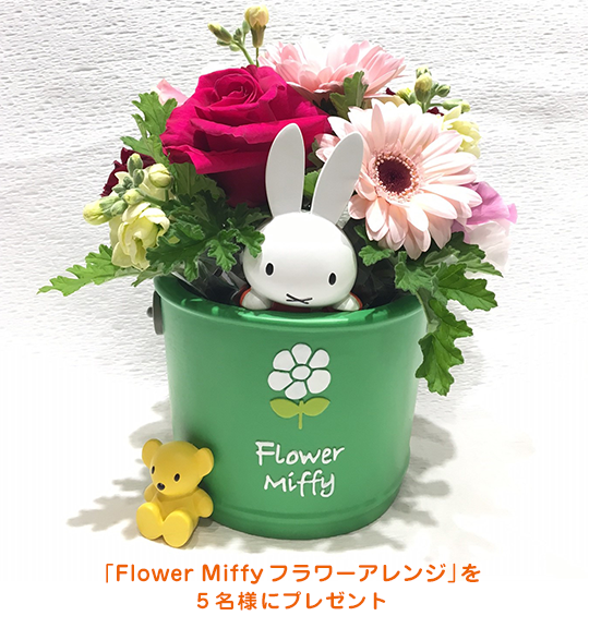 Flower Miffy